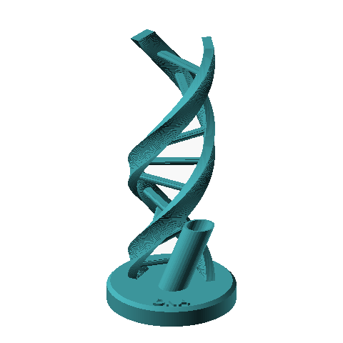 Personalized DNA Helix